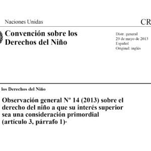 Observación Nº 14 sobre el Interés Superior del Niño