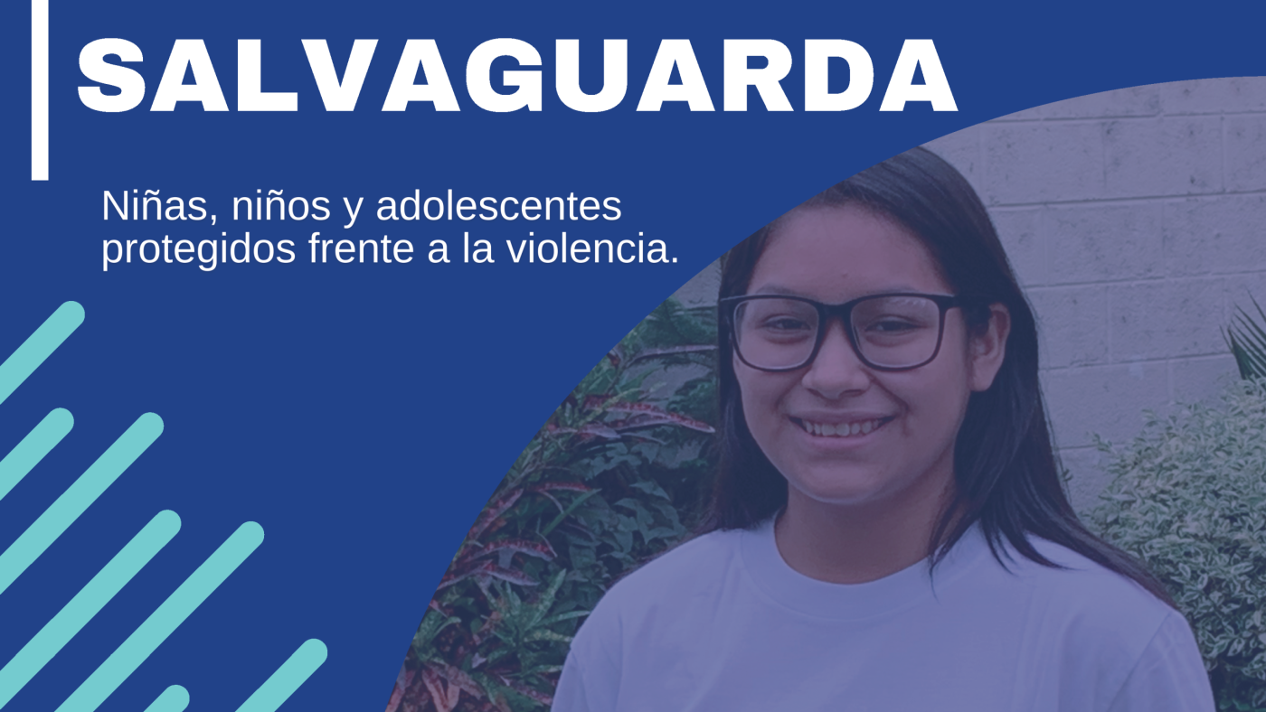 Cartilla de Salvaguarda APN_Página_01
